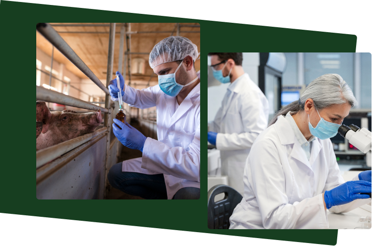 Pessoas em um laboratório