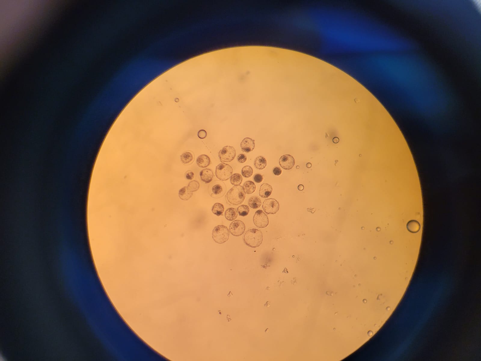 imagem do laboratorio