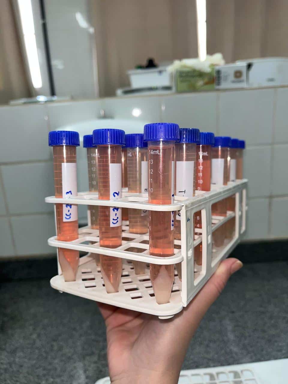 imagem do laboratorio